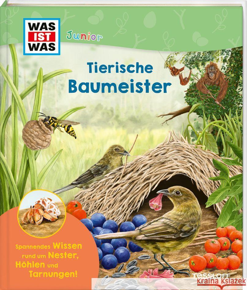 WAS IST WAS Junior Tierische Baumeister Küntzel, Karolin 9783788677602 Tessloff Verlag Ragnar Tessloff GmbH & Co. KG