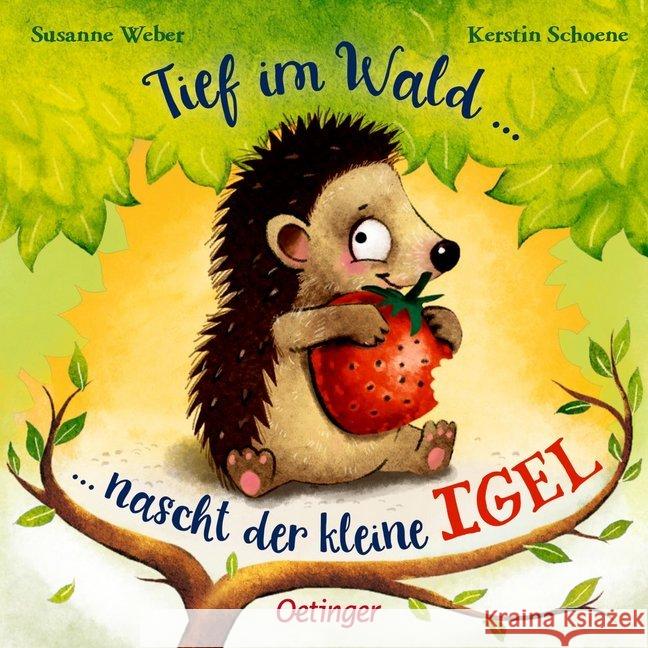 Tief im Wald ... nascht der kleine Igel Weber, Susanne 9783789103766