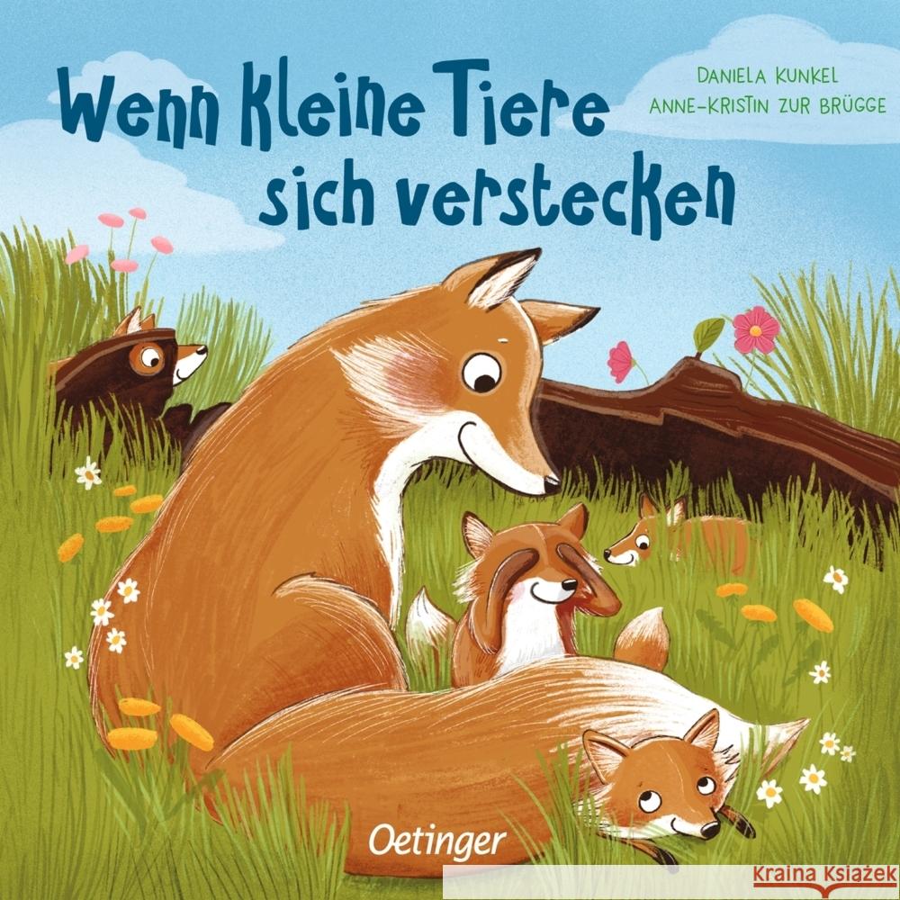 Wenn kleine Tiere sich verstecken Zur Brügge, Anne-Kristin 9783789114823 VFO