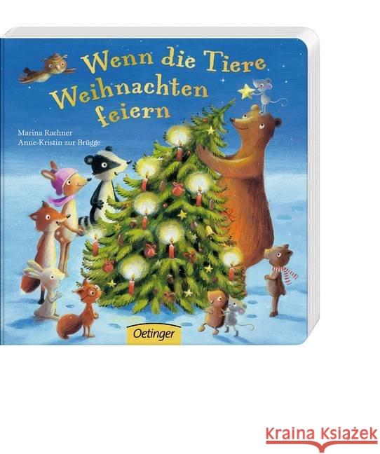 Wenn die Tiere Weihnachten feiern Rachner, Marina; Brügge, Anne-Kristin zur 9783789170409