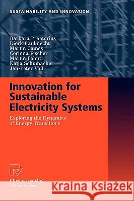 Innovation for Sustainable Electricity Systems: Exploring the Dynamics of Energy Transitions Praetorius, Barbara 9783790820751