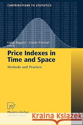 Price Indexes in Time and Space: Methods and Practice Biggeri, Luigi 9783790821390 Physica-Verlag Heidelberg