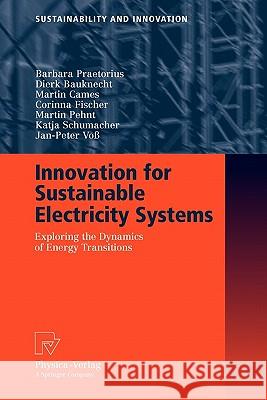 Innovation for Sustainable Electricity Systems: Exploring the Dynamics of Energy Transitions Praetorius, Barbara 9783790825664 Springer