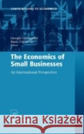 The Economics of Small Businesses: An International Perspective Calcagnini, Giorgio 9783790826227 Not Avail