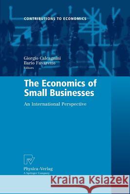 The Economics of Small Businesses: An International Perspective Calcagnini, Giorgio 9783790829136 Physica-Verlag