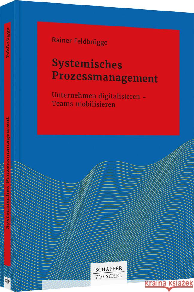 Systemisches Prozessmanagement Feldbrügge, Rainer 9783791052618 Schäffer-Poeschel