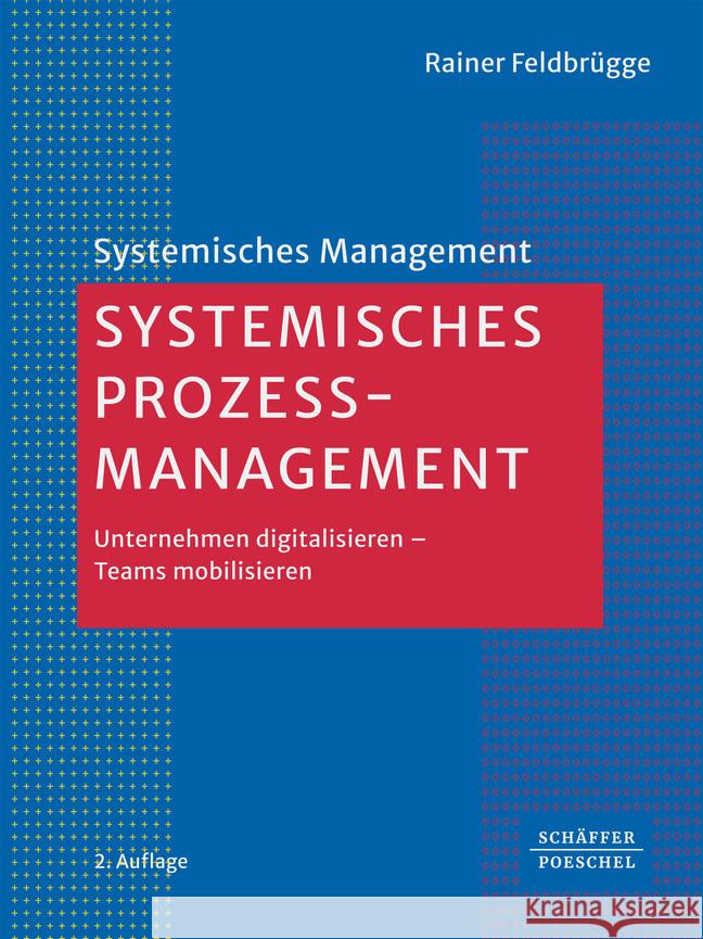 Systemisches Prozessmanagement Feldbrügge, Rainer 9783791065861 Schäffer-Poeschel