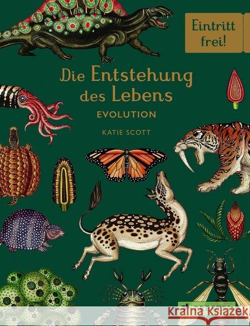 Die Entstehung des Lebens. Evolution Munro, Fiona; Symons, Ruth 9783791373089