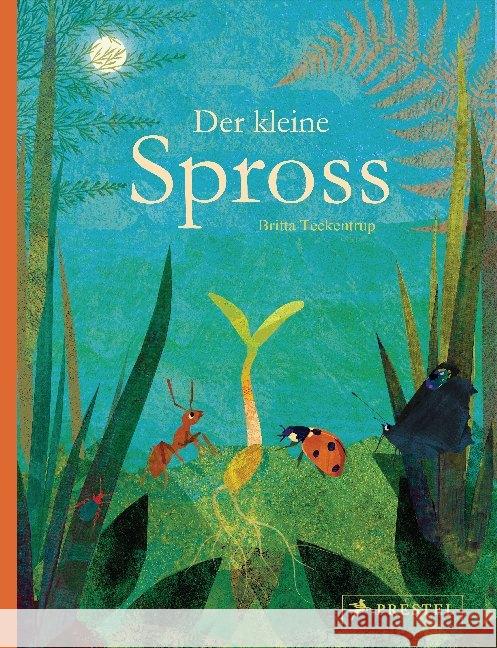 Der kleine Spross Teckentrup, Britta 9783791374307