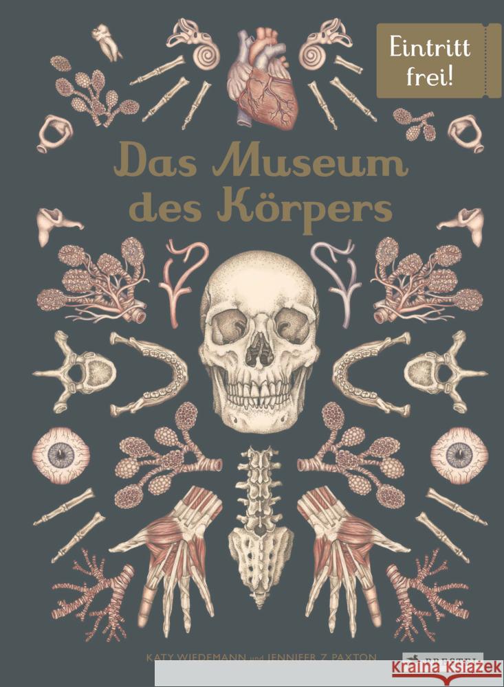 Das Museum des Körpers Paxton, Jennifer Z. 9783791375298