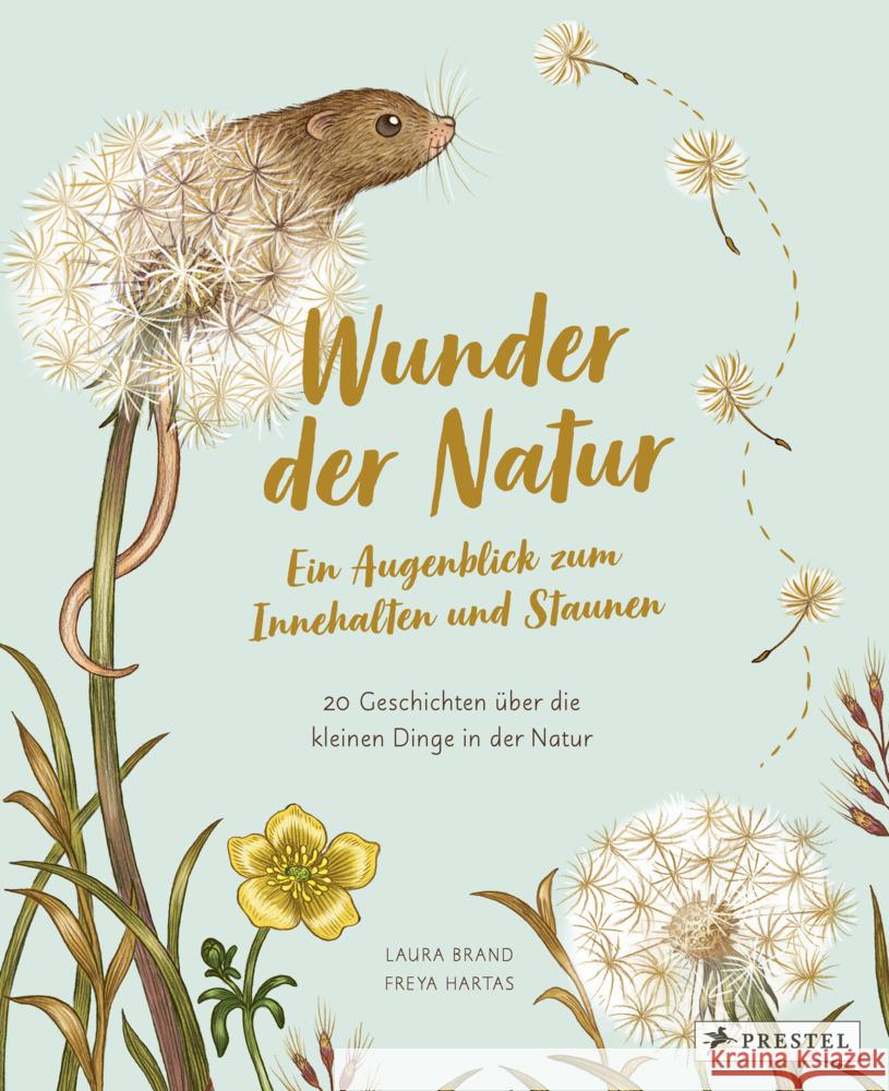 Wunder der Natur. Ein Augenblick zum Innehalten und Staunen Brand, Laura, Hartas, Freya 9783791375434