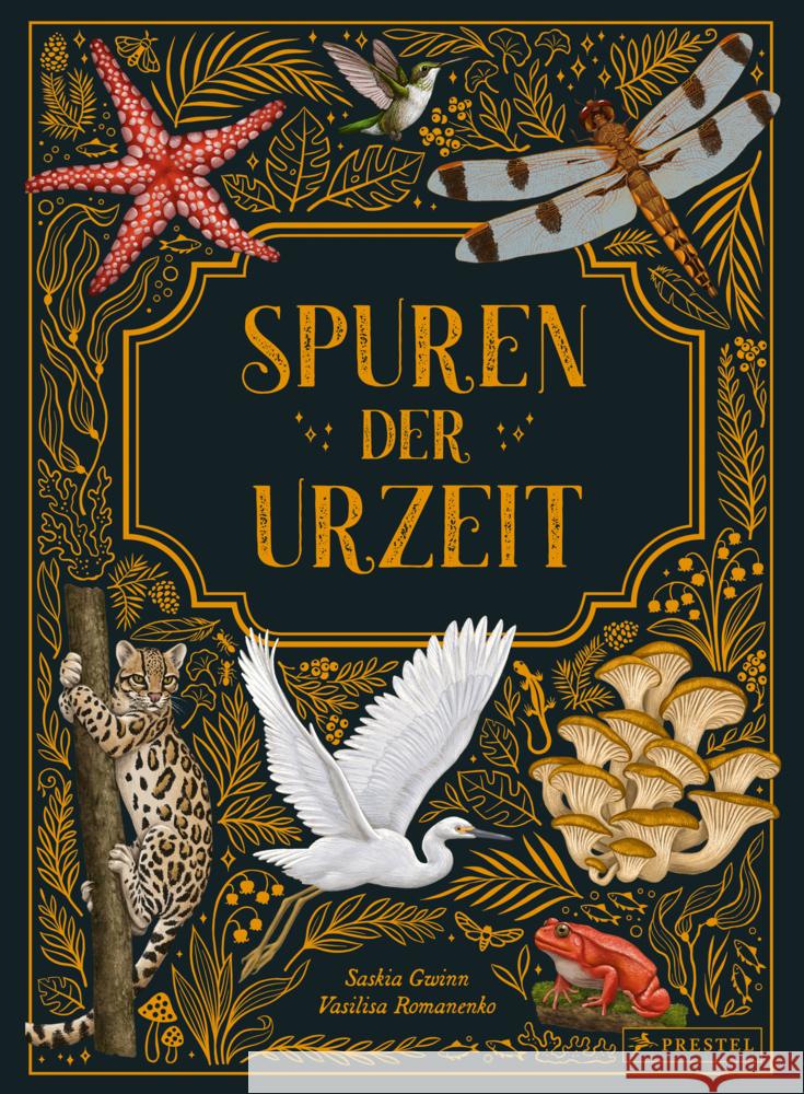 Spuren der Urzeit Gwinn, Saskia, Romanenko, Vasilisa 9783791375847 Prestel