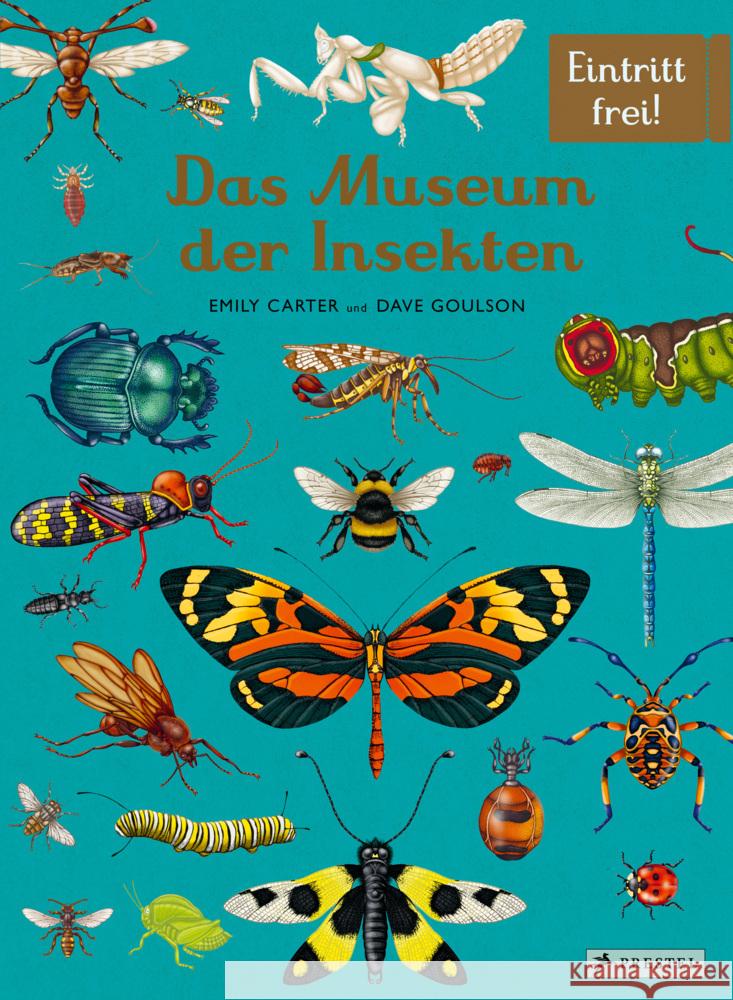 Das Museum der Insekten Goulson, Dave, Carter, Emily 9783791375861 Prestel