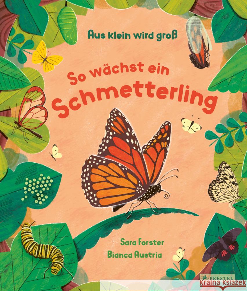 Aus klein wird groß. So wächst ein Schmetterling Forster, Sara, Austria, Bianca 9783791376035