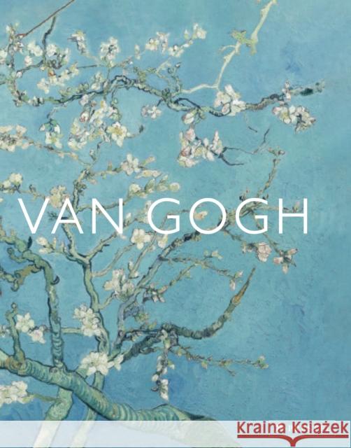 Van Gogh: The Bigger Picture Anne Sefrioui 9783791377599