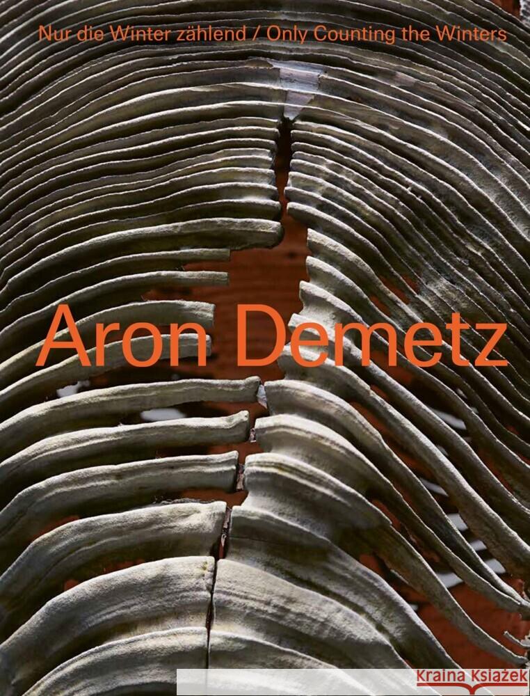 Aron Demetz: Only Counting the Winters Aron Demetz Klaus Herold Rupert K?nig 9783791377988 Prestel Publishing