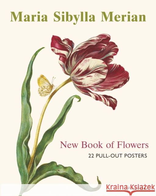 Maria Sibylla Merian: 22 Pull-Out Posters Prestel Publishing 9783791386003