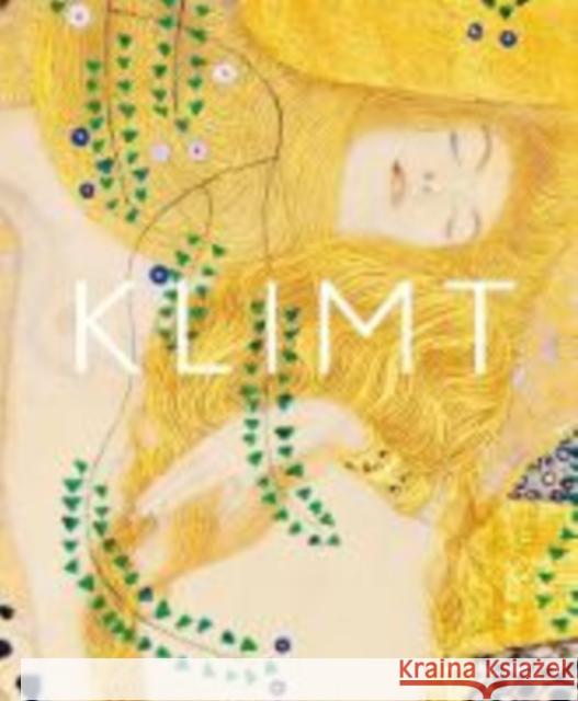 Klimt: The Bigger Picture Philippe Thiebaut 9783791393995 Prestel Publishing
