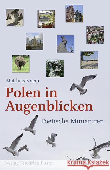 Polen in Augenblicken : Poetische Miniaturen Kneip, Matthias 9783791730943 Pustet, Regensburg