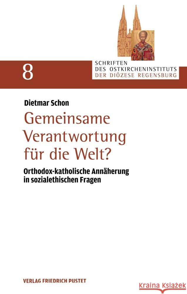 Gemeinsame Verantwortung für die Welt? Schon, Dietmar 9783791734002 Pustet, Regensburg