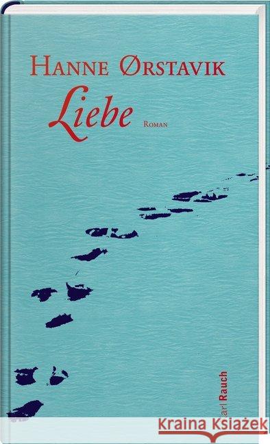 Liebe : Roman Ørstavik, Hanne 9783792002506