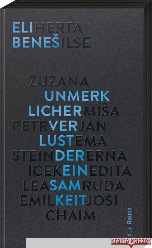 Unmerklicher Verlust der Einsamkeit Benes, Eli 9783792002933