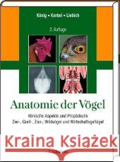 Anatomie der Vögel : Klinische Aspekte und Propädeutik. Zier-, Greif-, Zoo-, Wildvögel und Wirtschaftsvögel König, Horst E. Korbel, Rüdiger Liebich, Hans-Georg 9783794525782