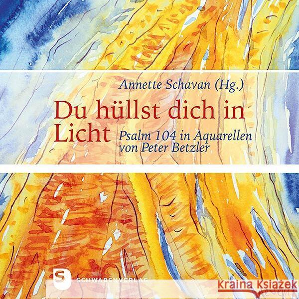 Du hüllst dich in Licht Schavan, Annette 9783796618048