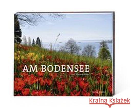 Am Bodensee Zimmermann, Rolf 9783797705921