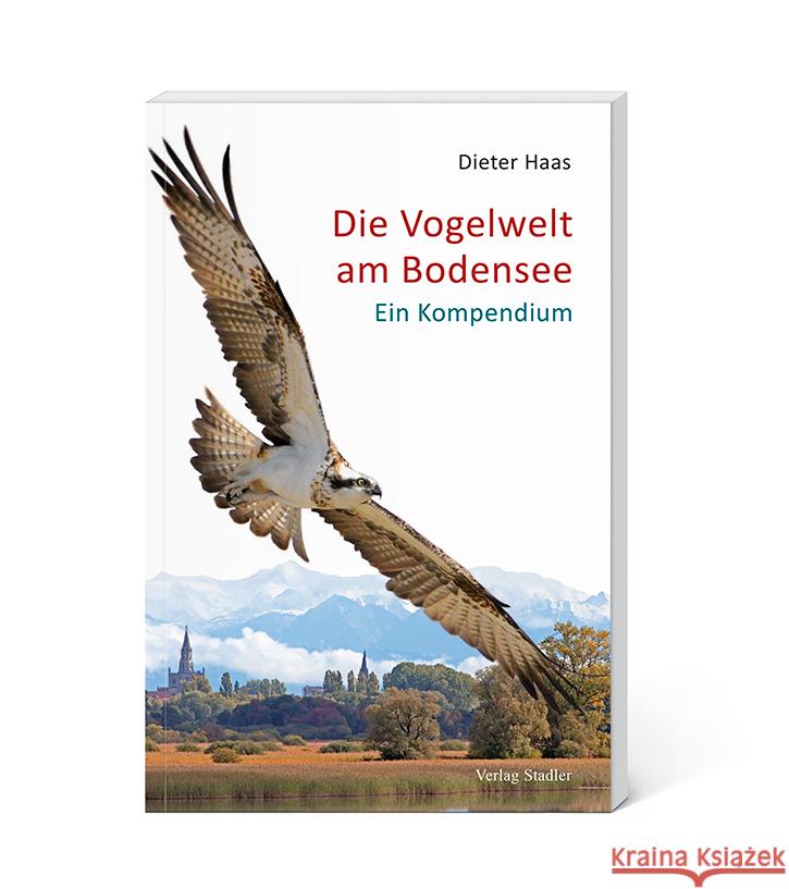 Die Vogelwelt am Bodensee Haas, Dieter 9783797707598