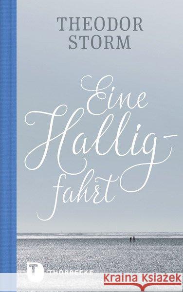 Eine Halligfahrt Storm, Theodor 9783799512947 Thorbecke