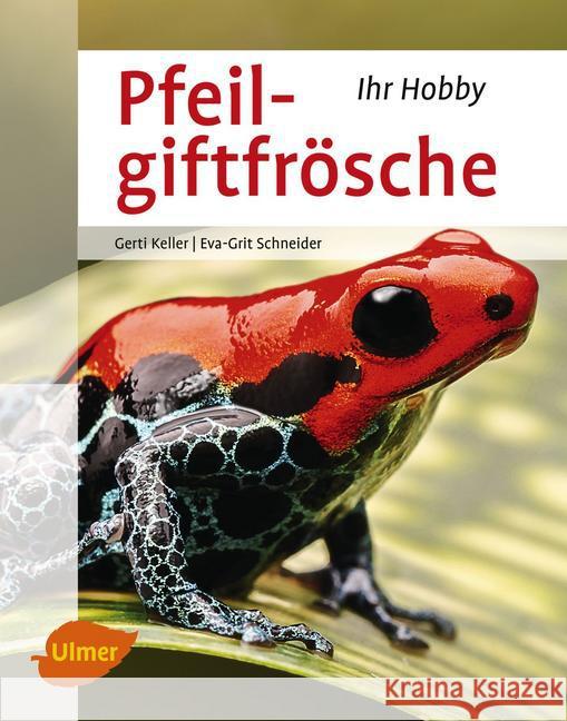Pfeilgiftfrösche Keller, Gerti; Schneider, Eva-Grit 9783800103195 Verlag Eugen Ulmer