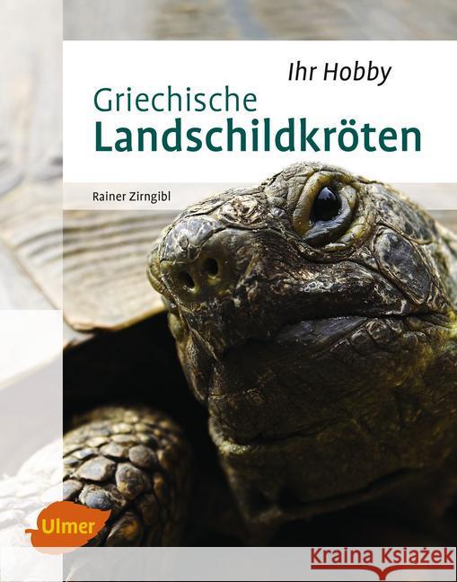 Griechische Landschildkröten Zirngibl, Rainer 9783800103287 Verlag Eugen Ulmer