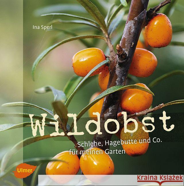 Wildobst : Schlehe, Hagebutte und Co. für meinen Garten Sperl, Ina 9783800103669 Verlag Eugen Ulmer