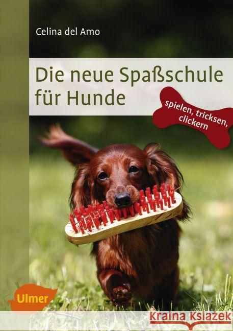 Die neue Spaßschule für Hunde : Spielen, tricksen, clickern Del Amo, Celina 9783800103812 Verlag Eugen Ulmer