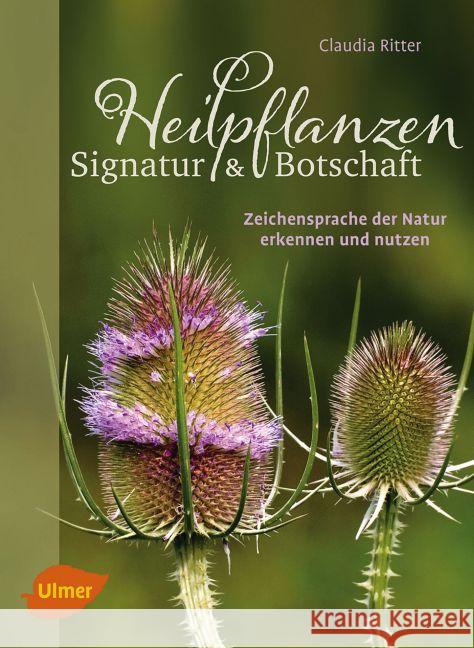 Heilpflanzen. Signatur und Botschaft : Zeichensprache der Natur erkennen und nutzen Ritter, Claudia 9783800103942 Verlag Eugen Ulmer