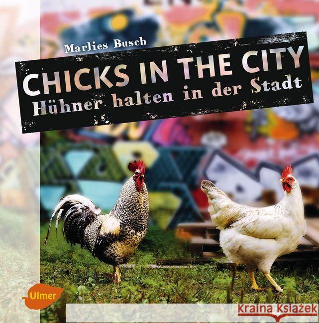 Chicks in the City : Hühner halten in der Stadt Busch, Marlies 9783800108749 Verlag Eugen Ulmer