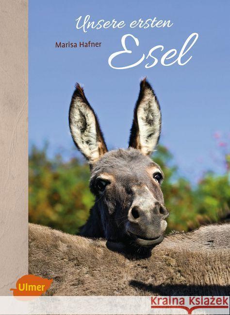 Unsere ersten Esel Hafner, Marisa 9783800109159 Verlag Eugen Ulmer