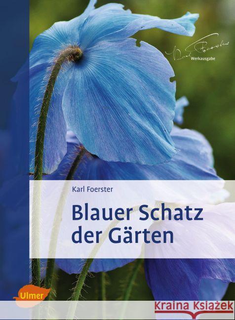 Blauer Schatz der Gärten Foerster, Karl; Kühn, Norbert 9783800133857