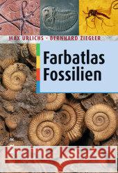 Farbatlas Fossilien Urlichs, Max Ziegler, Bernhard Bechly, Günter 9783800135783 Ulmer (Eugen)