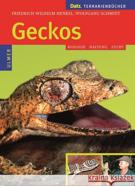 Geckos : Biologie, Haltung , Zucht Henkel, Friedrich-Wilhelm Schmidt, Wolfgang  9783800138548