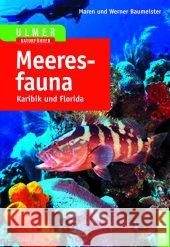 Meeresfauna : Karibik und Florida Baumeister, Maren Baumeister, Werner  9783800141647 Ulmer (Eugen)