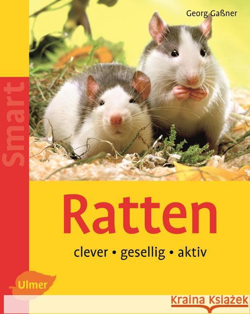 Ratten : Clever, gesellig, aktiv Gaßner, Georg   9783800144839 Ulmer (Eugen)