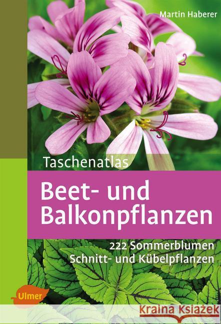 Taschenatlas Beet- und Balkonpflanzen : 222 Sommerblumen, Schnitt- und Kübelpflanzen Haberer, Martin 9783800146598 Ulmer (Eugen)