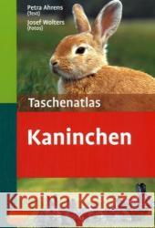 Taschenatlas Kaninchen : 98 Rassen Wolters, Josef   Ahrens, Petra   9783800149285 Ulmer (Eugen)