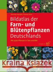 Bildatlas Der Farn- Und Blutenpflanzen Deutschlands Henning Haeupler, Muer Thomas 9783800149902 Eugen Ulmer,Gmbh & Co
