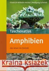 Taschenatlas Amphibien : 180 Arten im Porträt Henkel, Friedrich-Wilhelm Schmidt, Wolfgang  9783800151554