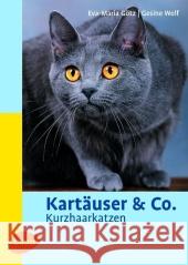 Kartäuser & Co. : Kurzhaarkatzen Götz, Eva-Maria Wolf, Gesine  9783800153282