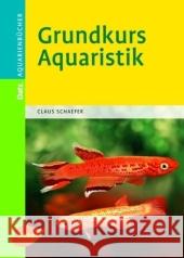 Grundkurs Aquaristik Schaefer, Claus   9783800154616 Ulmer (Eugen)