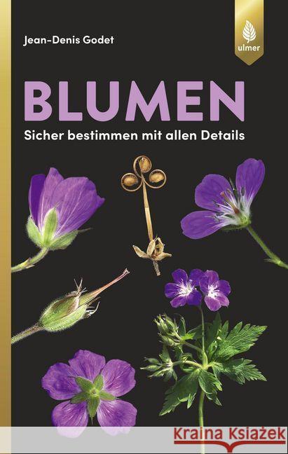 Blumen - sicher bestimmen mit allen Details Godet, Jean-Denis 9783800156009